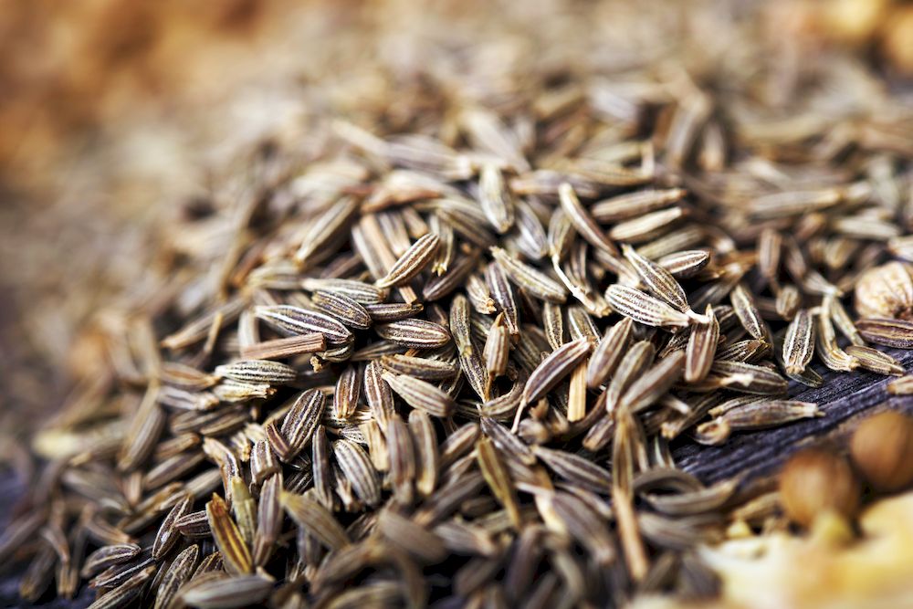 Fennel Seeds Closeup