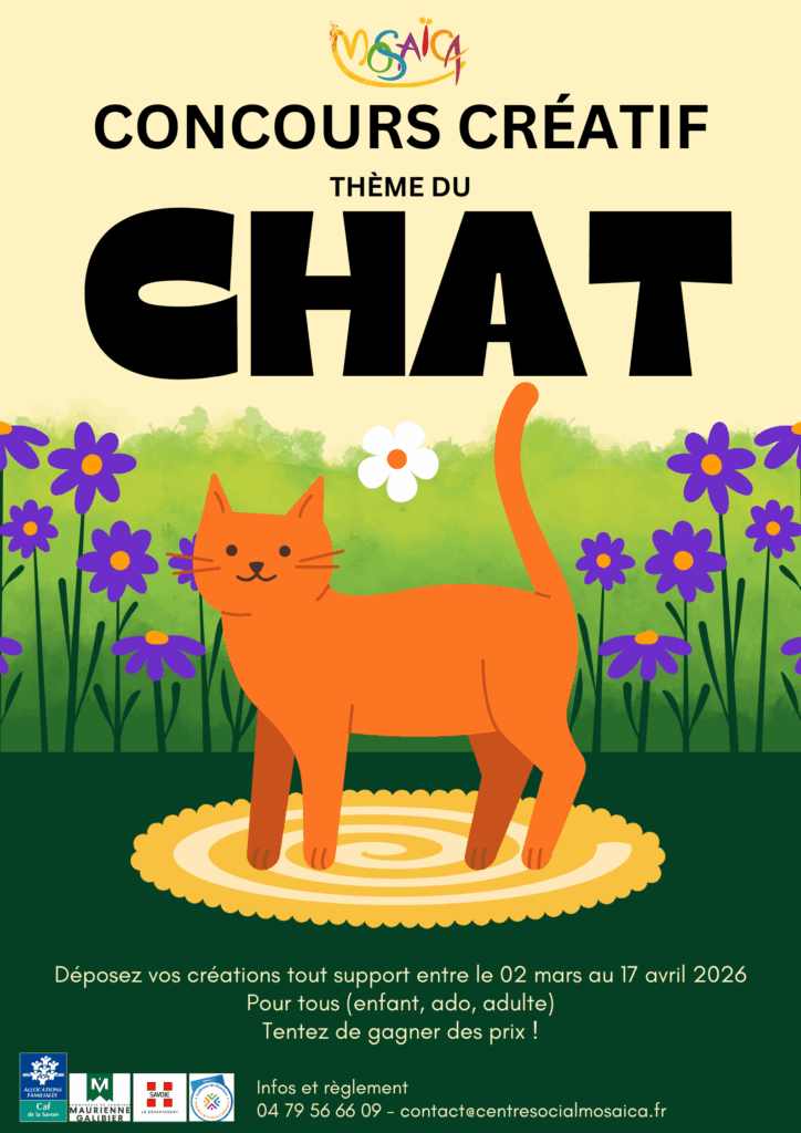 concours créatif chat (2)